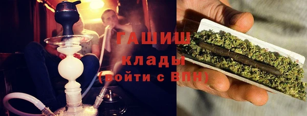 гидра Вязьма