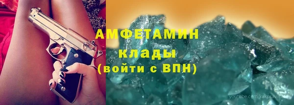 гидра Вязьма