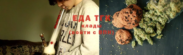 гидра Вязьма