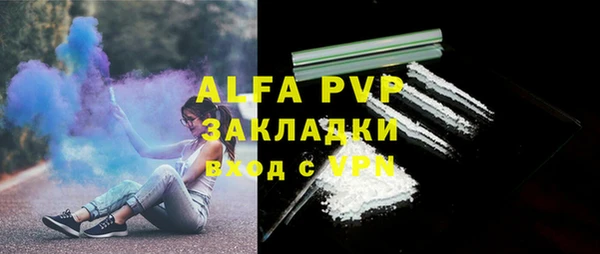 ГАЛЛЮЦИНОГЕННЫЕ ГРИБЫ Вяземский