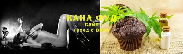 гидра Вязьма