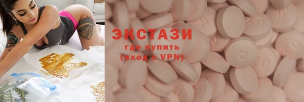гидра Вязьма
