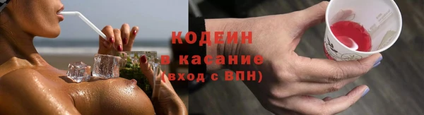 гидра Вязьма