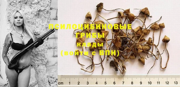 ГАЛЛЮЦИНОГЕННЫЕ ГРИБЫ Вяземский