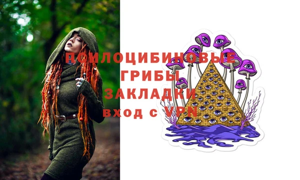 ГАЛЛЮЦИНОГЕННЫЕ ГРИБЫ Вяземский