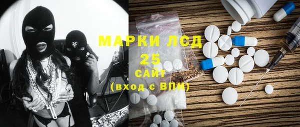 гидра Вязьма