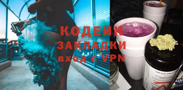 ГАЛЛЮЦИНОГЕННЫЕ ГРИБЫ Вяземский