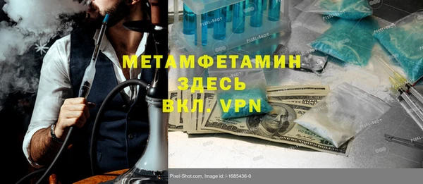 гидра Вязьма