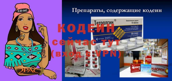 ГАЛЛЮЦИНОГЕННЫЕ ГРИБЫ Вяземский