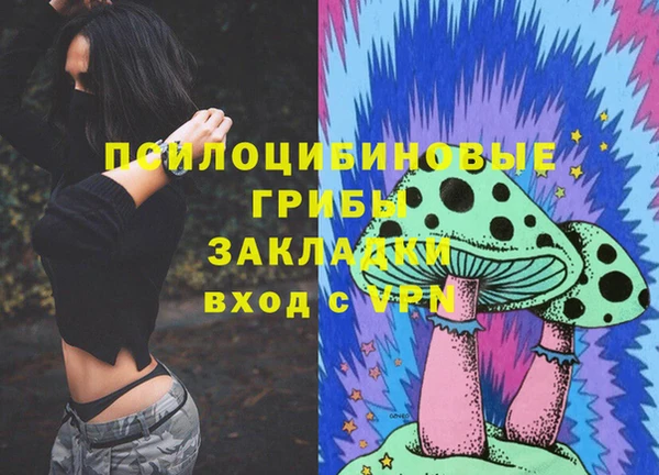ГАЛЛЮЦИНОГЕННЫЕ ГРИБЫ Вяземский