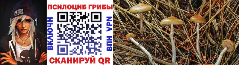 Псилоцибиновые грибы MAGIC MUSHROOMS Кандалакша